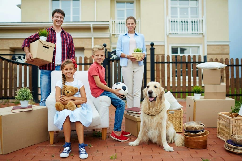 pet relocation service