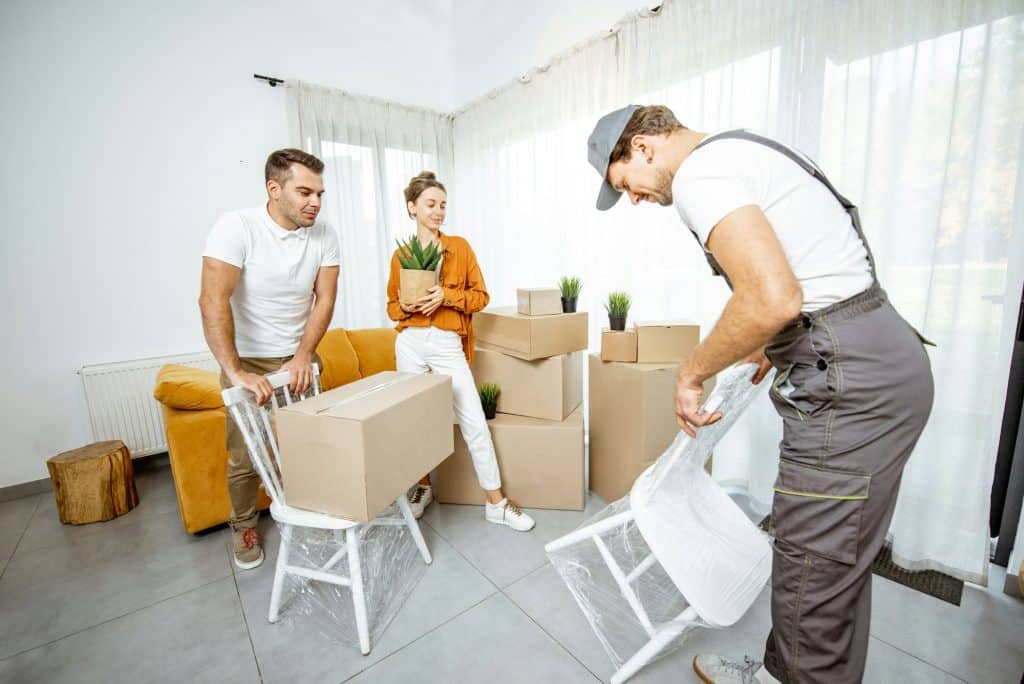 key differences between domestic and international moves