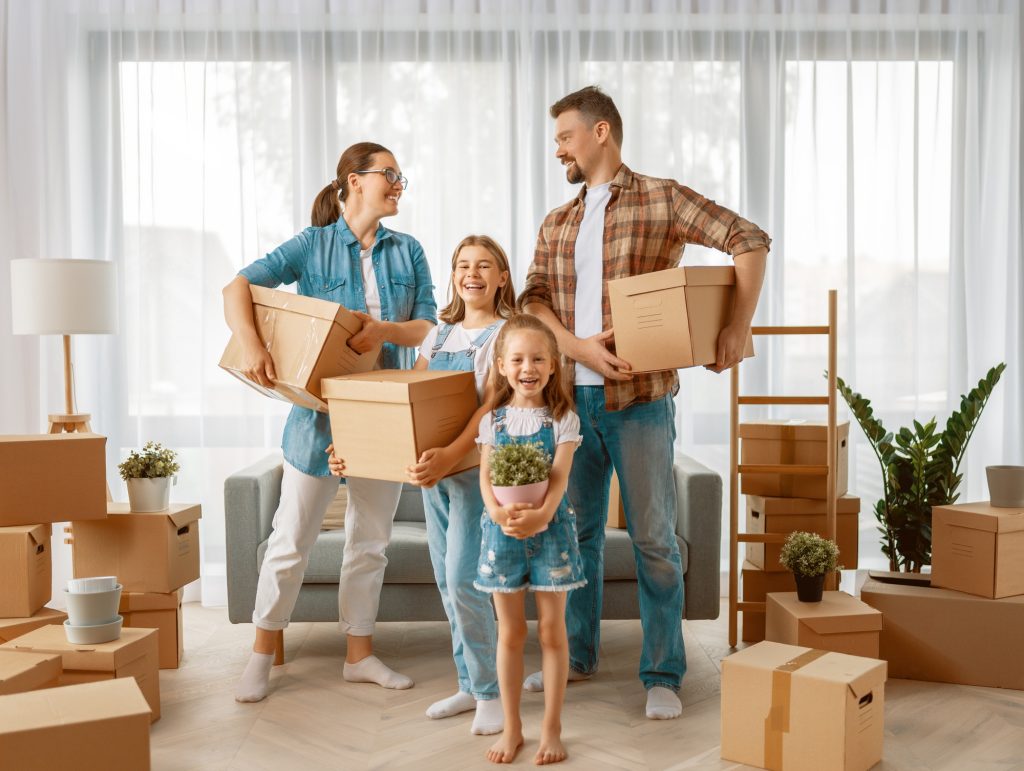tips for comforting pet during the move